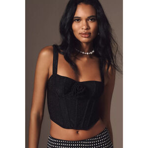 Anthropologie Bustier Top - New Large